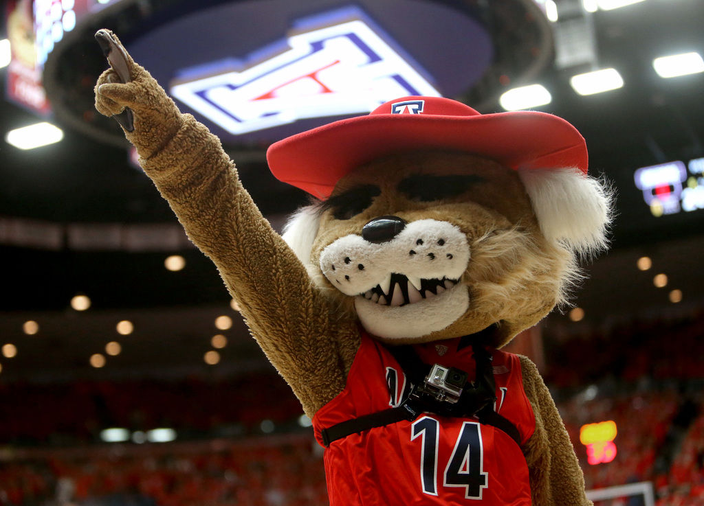 Wilbur T. Wildcat